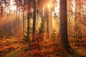 Erreichbarkeiten in den Herbstferien